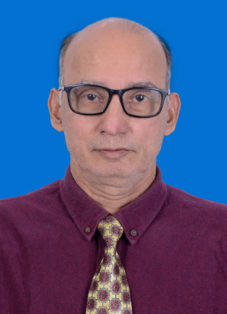 Mr. S Ramachandran, Oil & Gas Sector Director