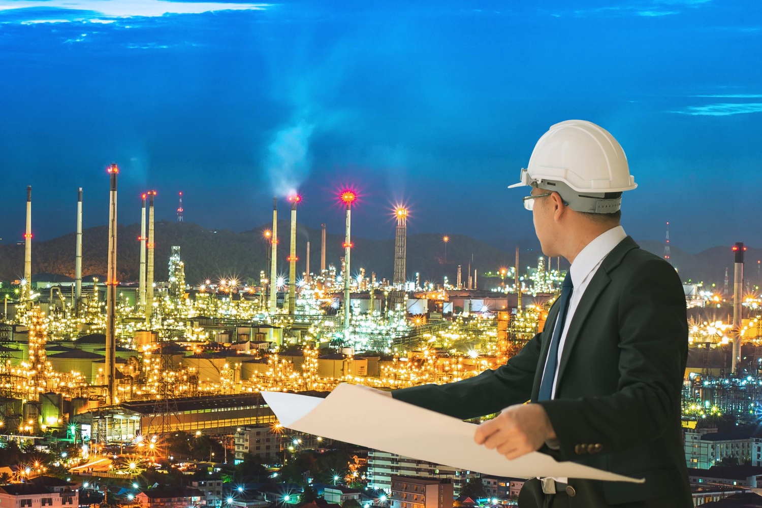 Project owners and developers